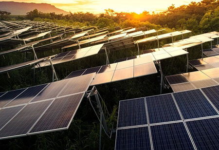 Machine Learning Predicts the Performance of Organic Solar Cells