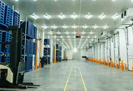 Expansion of Industrial Cold Storage: Challenges and Opportunities in Construction